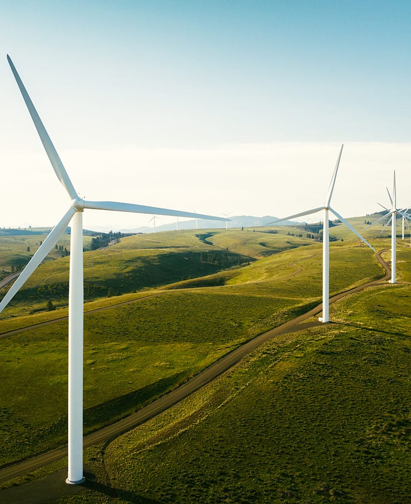 Wind turbines on rolling green hills under a clear sky.