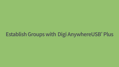 Establishing Groups in Digi AnywhereUSB Plus