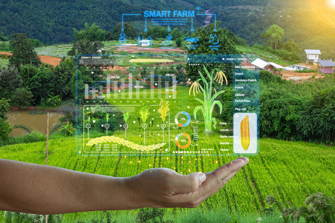 Smart farm concept