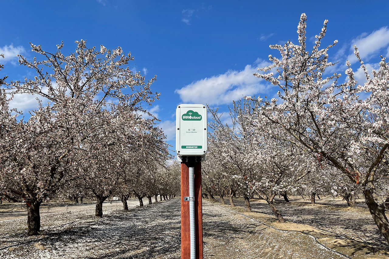 IRROMETER IC10 in an orchard setting
